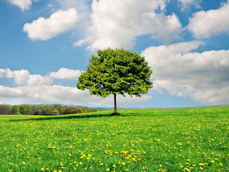 環(huán)境保護咨詢